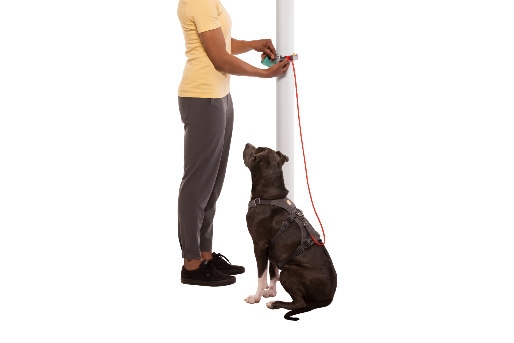 Hitch Hiker™ Leash