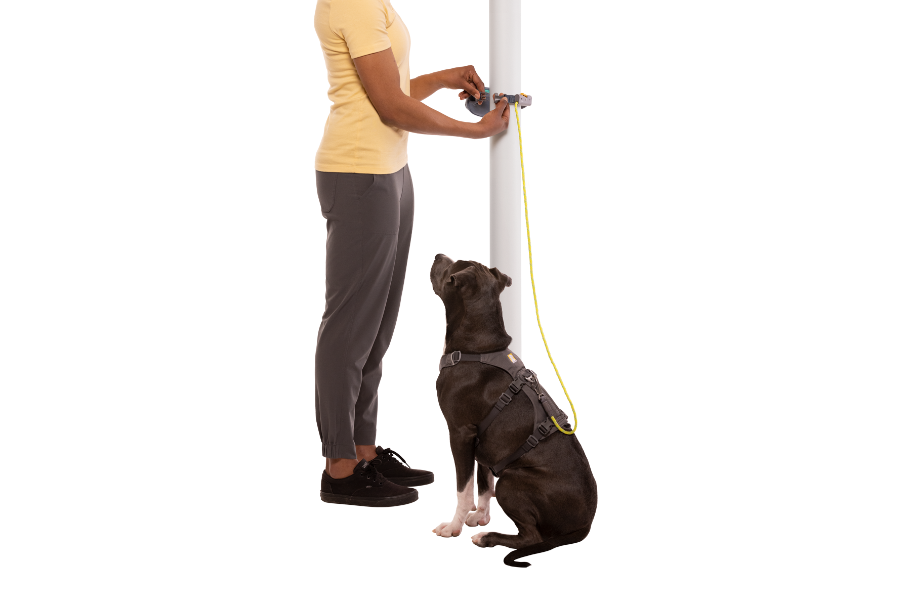 Hitch Hiker™ Leash
