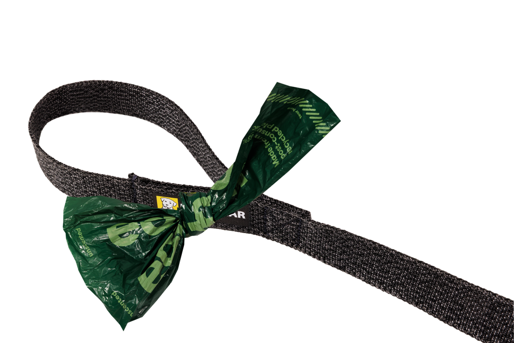 Front Range™ Flex Leash